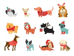 Collection of Christmas dogs, Merry Christmas illustrations of cute pets with accessories like a knitted hats, sweaters, scarfs, vector graphic elements