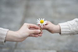 Parent and child hands handing white flowers