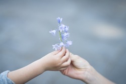 Parent and child handing blue flowers