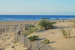 Stone Harbor Dunes. A quiet early morning scene of dunes leading to the beach in Stone Harbor before beachgoers crowd this New Jersey shore town. The dunes seen here are a protected ecosystem.