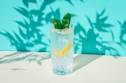 Summer Basil lemon smash cocktail drink isolated on a turquoise wall with plant shadows in the background