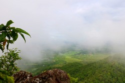 A large mountain rich in lush green forest, looking far ahead, with rocky cliffs resting. Above is a sky filled with fog and many white clouds floating, giving the feeling of fresh morning air.