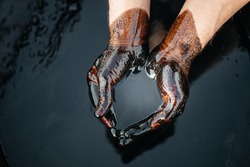 Crude oil in a bowl of hands on the background of a black oily puddle. The process of processing petroleum products. Folded cups of hands with fuel oil. Сrisis of the oil industry. Economic downturn.
