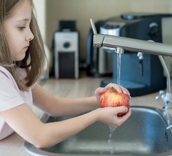 Cute young girl washing and sanitizing fresh fruit. Wash food. Child hands holding tasty apple under running water in kitchen sink. Disinfection vegetables. Healthy lifestyle. Personal hygiene concept