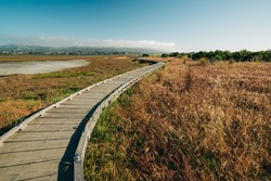 Boardwalk through the fragile area at Morro Bay State Park, California