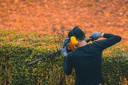 Unknown person or gardener is trimming a hedge in autumn setting. Taking care of bushes in the beginning of autumn.