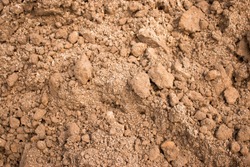 Sandy loam soil background. Crumbly soil abstract background texture for pattern, graphic design, print, abstract web design backgrounds, wallpaper or banner template