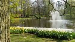 Tulips at the border of a pond with fountain in Dutch public Spring flower Garden Keukenhof Lisse, Zuid Holland, NLD