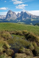majestic mountain view in the dolomites: beautiful and famous alp di siusi and distinctive sassolungo mountain group at gardena valley in south tyrol.