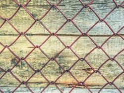 texture, background. natural, processed wood. the texture of the logs, the trees are behind a metal mesh. farm fence.