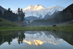 This is reflection of nanga parbat mountain before sunrise at fairy meadows ,north Pakistan 