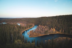 Bend in the Kitkajoki River in Oulanka National Park in northern Finland during sunset. Autumn spruce forest with blue river forming a snake. Suomi nature.