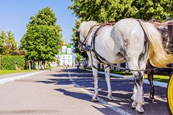 horse-drawn carriage on the streets of the old Russian city of Kolomna.