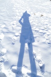 Silhouette of the shadow of people on a snow in the frosty winter day. White background of snow with footprint and traces. Reflection shadow of women. 