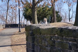 A squirrel watches from a rock wall in the park