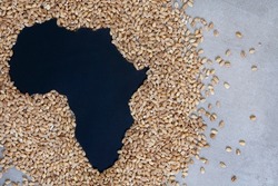 Africa as hunger and shortages loom. Grain shortage and food security, a world in crisis during war between Russia and Ukraine