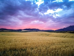 A beautiful vibrant sunset on a cloudy summer evening, overlooking a golden wheat field surrounded by mountains in Idaho country