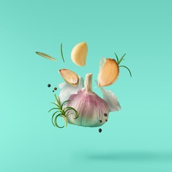 Garlic falling in air with pepper and herbs like rosemary on turquoise background. Spicy food concept