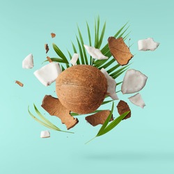 Flying in air fresh ripe whole and cracked coconut with palm leaves isolated on turquoise background. High resolution image, 3d concept