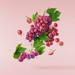 Fresh ripe grapes with leaves falling in the air isolated on pink background
