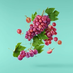 Fresh ripe grapes with leaves falling in the air isolated on tuquoise background