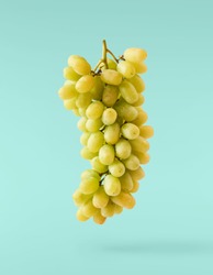Fresh ripe grape falling in the air isolated on turquoise background