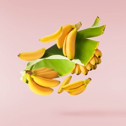 Fresh ripe baby bananas with leaves falling in the air isolated on pink background. Food levitation concept. High resolution image
