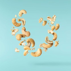 Fresh tasty Cashew nuts falling in the air isolated on turquoise background. Food levitation concept. High resolution image.