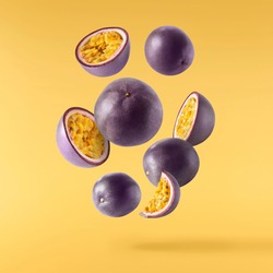 Fresh ripe raw passion fruit falling in the air isolated on yellow background. Zero gravity and food levitation concept. High resolution