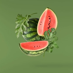 Fresh raw watermelon falling in the air isolated on green background. Food levitation or zero gravity conception. igh resolution image.