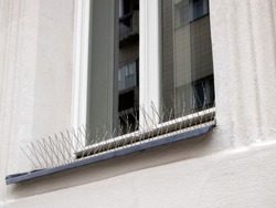 Metal (steel) bird spikes on the windowsill. Reliable protection against birds, especially pigeons. Anti bird wire.