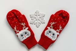 A pair of red woolen knitted soft mittens with cat faces and deer antlers hold a snowflake. The concept of friendship, love, understanding, New Year's holiday and Christmas. Flat lay, top view