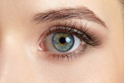 Macro image of beautiful woman eye