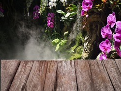 Empty wooden table and orchid background , For displaying your products