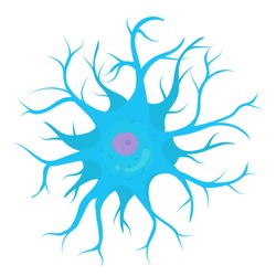Anaxonic Neuron Cell