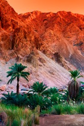 Egypt oasis in the sinai mountains and dessert