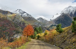 Autumn scene in Bujaruelo valley close to Ordesa and Monte Perdido National Park, Huesca province, Spain