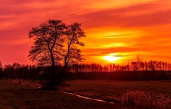Red sunset over the field. Beautiful sunset in nature. Rural nature at sunset. Red sunset landscape