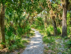 The William S Boylston Nature Trail is a 0.9 mile lightly trafficked loop trail in Myakka River State Park in Sarasota Florida USA