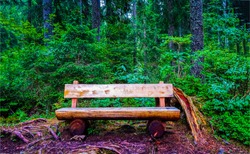 Wood bench seat in rural views
