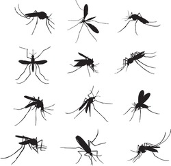 The mosquito, proboscis, bite, vector, silhouette, symbol, black