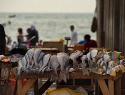 Nouakchott. Mauritania. October 07, 2021. Fresh sea fish on the counter of the fish market on the Atlantic Ocean, which is brought daily at dawn by local fishermen.