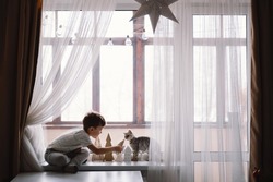 Cute boy playing with kitten sitting on the windowsill near the window. Cozy home with decorative Christmas trees. sweet home. Winter holidays lifestyle. Family lifestyle concept.