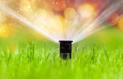 Sprinkler head watering green grass lawn. Gardening concept.