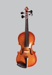 Classical musical instrument Violoncello Staying vertical