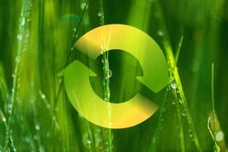 Circular system symbol concept. Circular system on a green leaf. Recycling, sync and sustainability