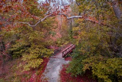 Autumn Crossing - trees changing color around the little bridge in the woods showing the autumn colors to brighten the path.  Photo was taken with a drone in a woods in Beavercreek, Ohio.