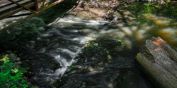 White Flow - a long exposure photograph via drone of water in the stream flowing under a bridge in the summer in Beavercreek Wetlands in Beavercreek, Ohio.