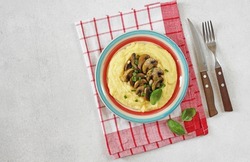 A portion of polenta or corn grits with fried mushrooms in a colored plate on a light background. Polenta or corn grits recipes. Italian Cuisine. copy space