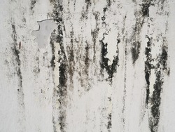 Black mold or black stains on concrete surface. Weathered peeling white painted cement wall background and texture. (close up, space for text)